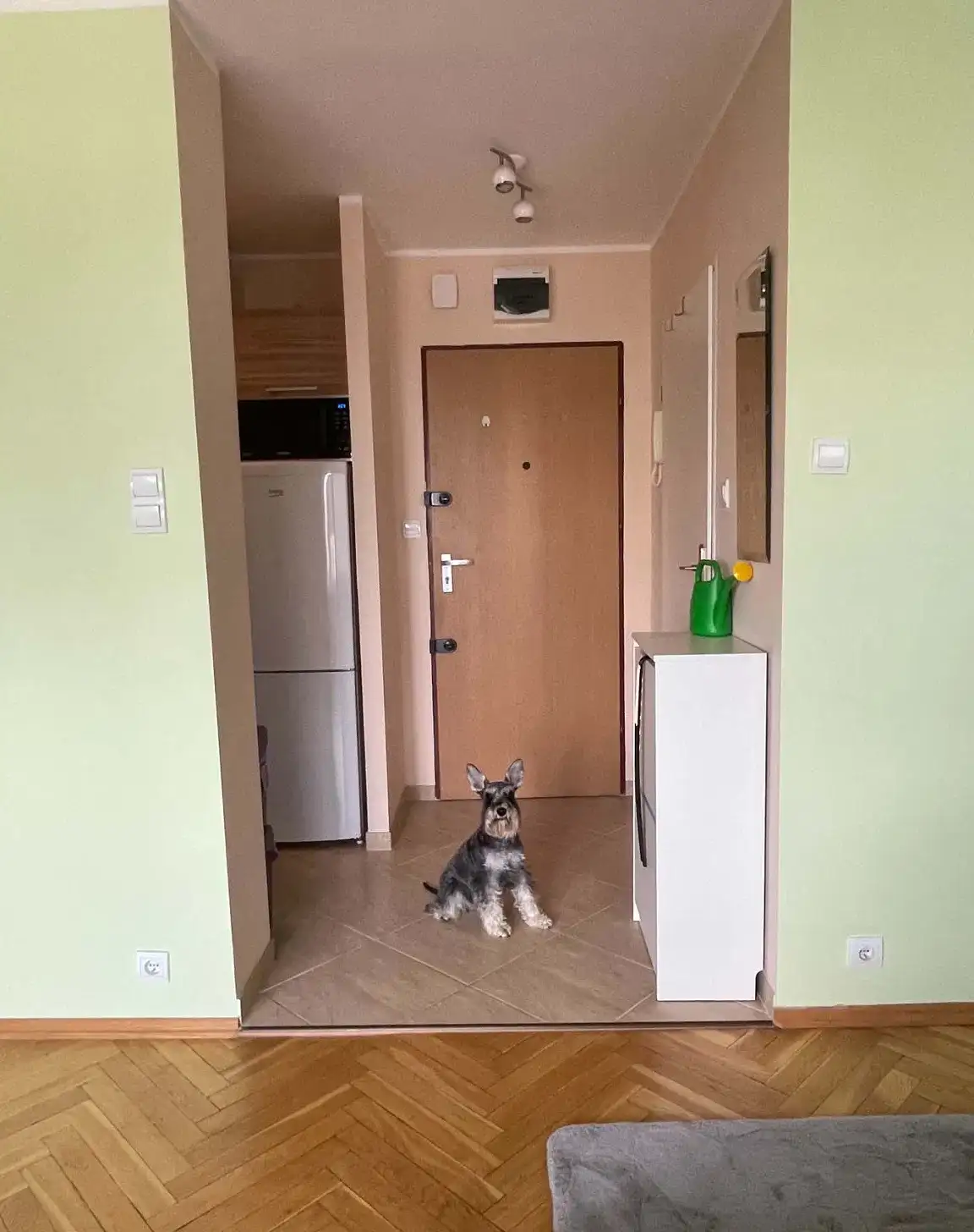 Kawalerka z widokiem na drzewa - zdjęcie 7