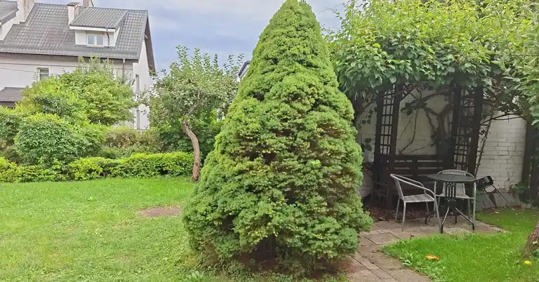 Mieszkanie 41 m² w Olsztynie - zdjęcie 9