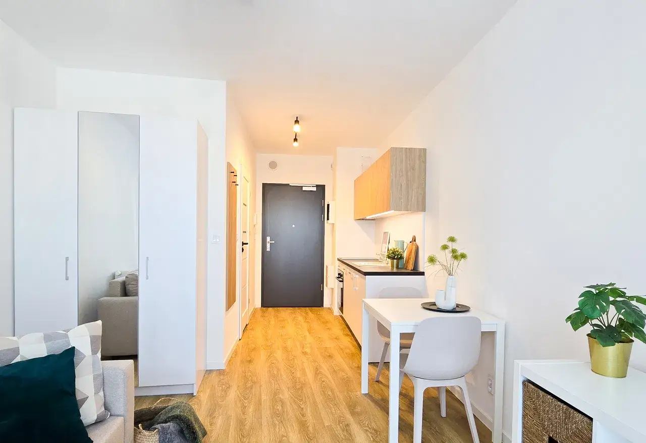 STUDIO bezpośrednio od właściciela, bez prowizji, pet friendly - zdjęcie 3