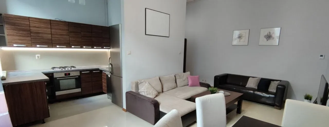 Wyposażony apartament przy Piotrkowskiej wynajmę - zdjęcie 3