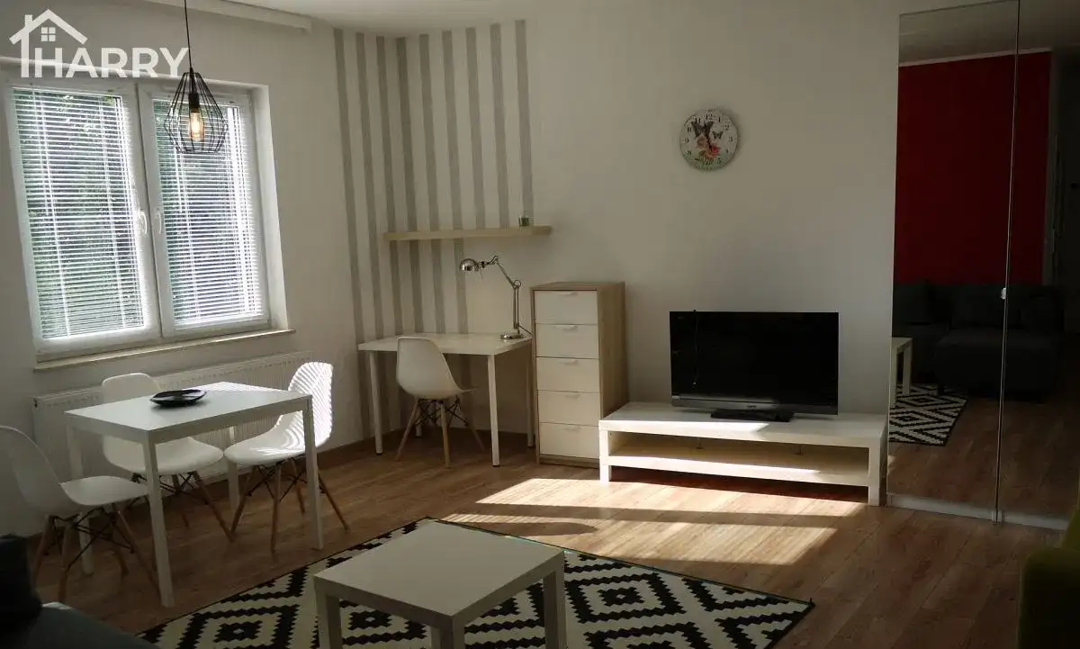 Obszerna kawalerka w centrum. - zdjęcie 3