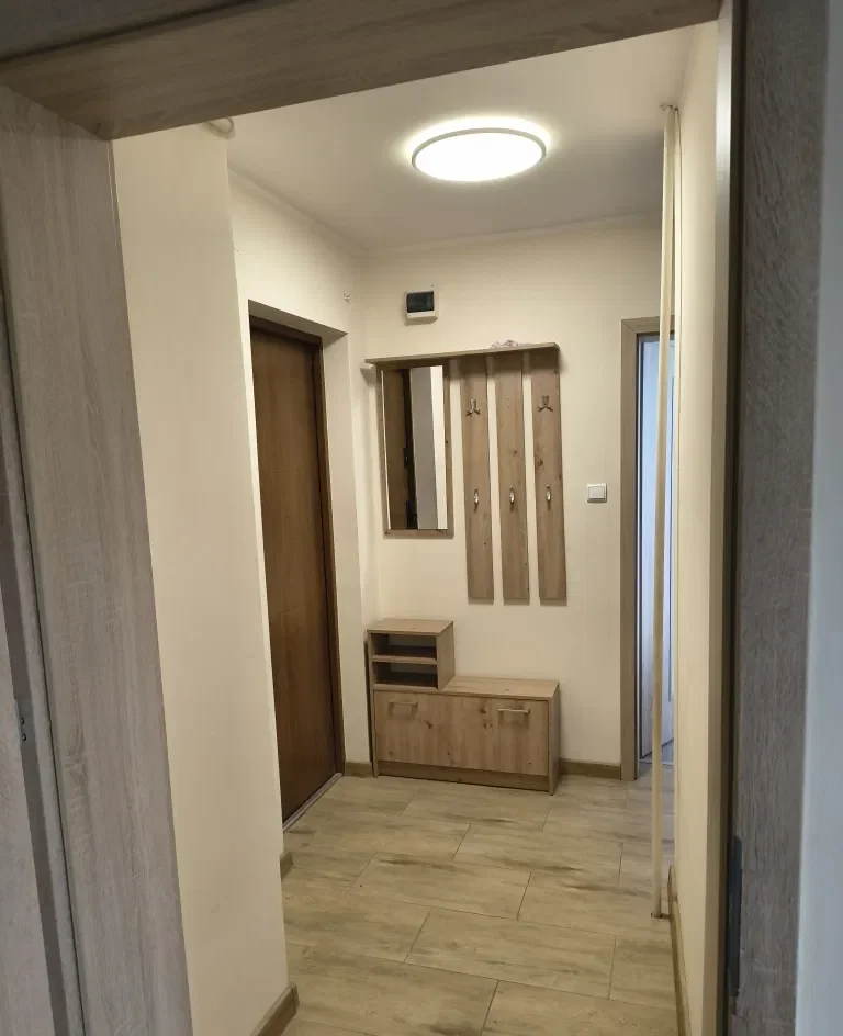 Mieszkanie 2 pokojowe Teofilów - zdjęcie 2