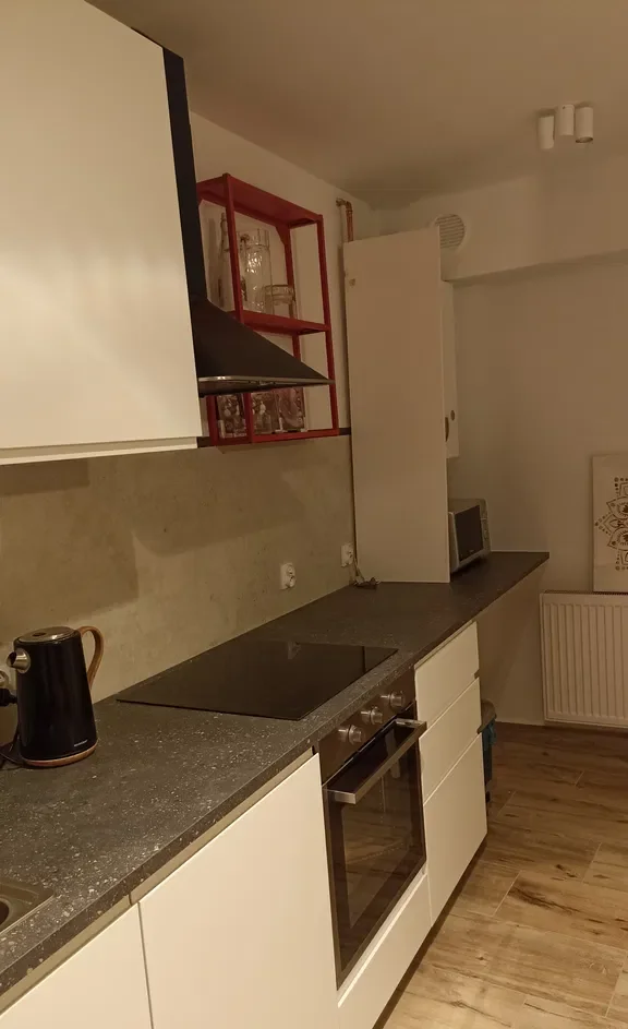 Stylowe loftowe mieszkanie do wynajęcia od zaraz - zdjęcie 2