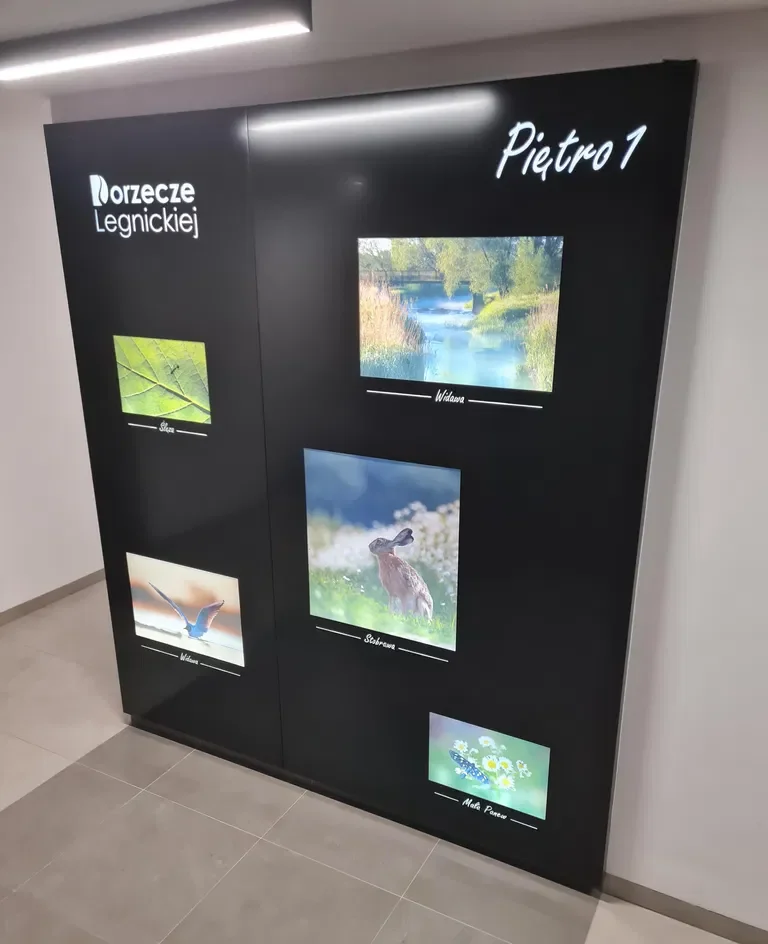 Mieszkanie 2 pokojowe we Wrocławiu, ul. Małopanewska - zdjęcie 7