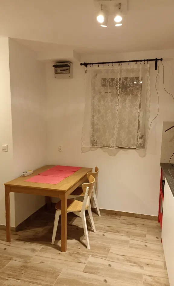 Stylowe loftowe mieszkanie do wynajęcia od zaraz - zdjęcie 3
