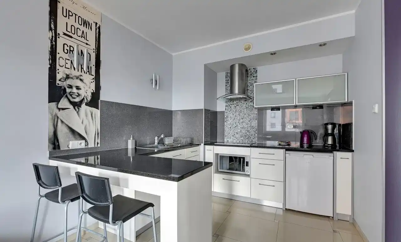 Do wynajęcia apartament o pow. 38 m2 - zdjęcie 4