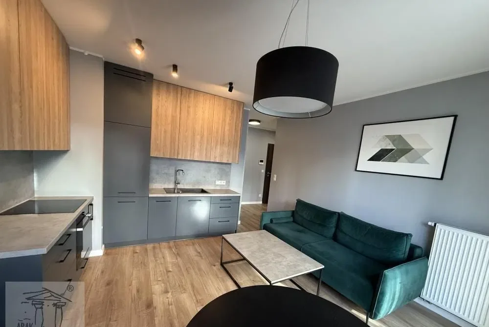 Komfortowy apartament Garbary 104 wyposażony taras , garaż ochrona - zdjęcie 9