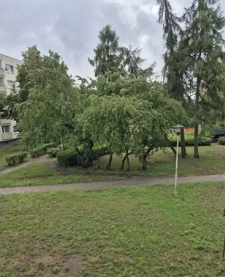 Mieszkanie 3 pokoje z balkonem Os. Górczyn - zdjęcie 7