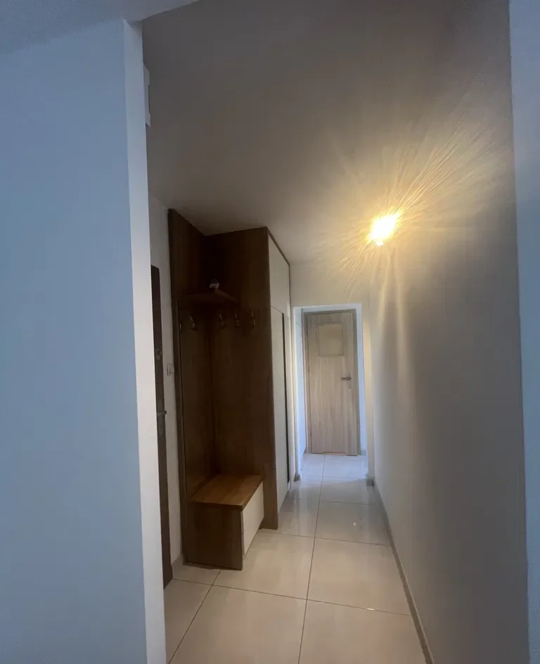 Mieszkanie 1-pokojowe z balkonem do wynajęcia - zdjęcie 6