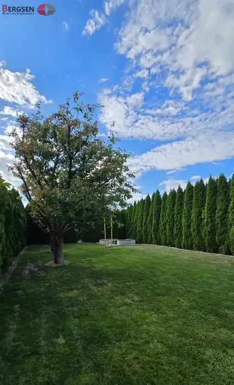 KOmfortowy, piękny ogród, fotowoltaika, cisza - zdjęcie 4