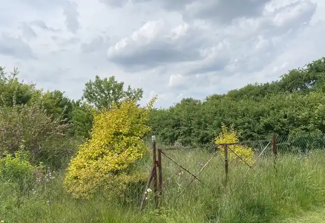 Mieszkanie Sarbinowo 29 m2, piwnica, działka, pom. gospodarcze - zdjęcie 9