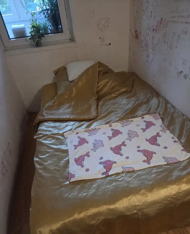 Pokój jednoosobowy w mieszkaniu w bloku w Gdańsku - zdjęcie 6